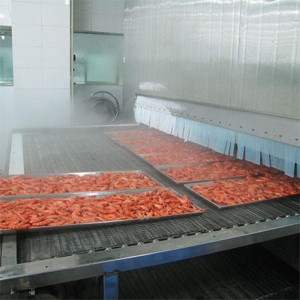 襄陽(yáng)食品速凍隧道