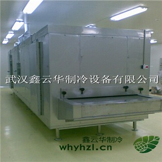 襄陽(yáng)小型速凍隧道