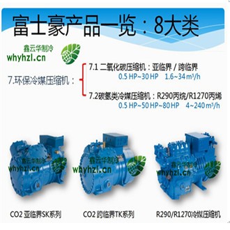 襄陽環(huán)保冷媒壓縮機