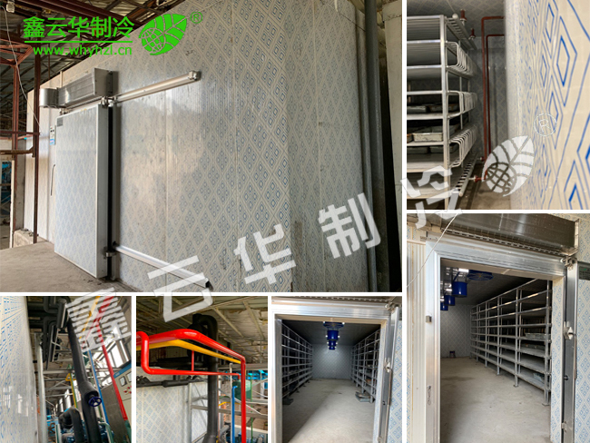 襄陽仙桃農(nóng)業(yè)速凍庫項目展示